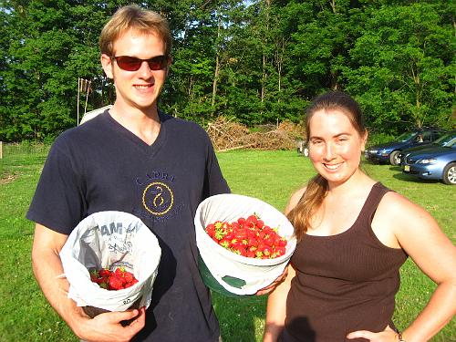 Berry Pickin'